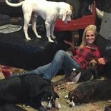 For Hire: Talented Dog Sitter located in Chippewa Falls Wisconsin Email Address is