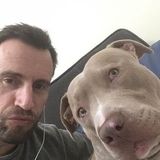 I am an Australian animal lover offering walking, pet sitting and hope to offer kennelling in the future
