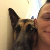 Dog walking, in home animal sitting and care. In home care for multiple animals at one time.