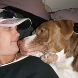 Qualified Pet Carer for Hire