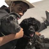 Pet Sitting Offered in Visalia