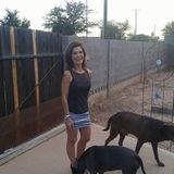 Gilbert Home Cleaner Looking For Job Opportunities