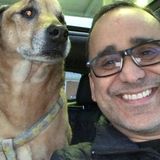 Aberdeen Pet Sitting Opportunity
