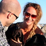 Quality House/Pet-Sitter: AF mil-spouse, non-smoker, professional & reliable