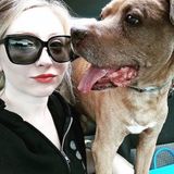 Need a stress free weekend? Or a part time walker ? Let me walk your pup for you!
