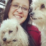 Professional House and Pet Sitter