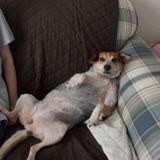 I LOVE animals!