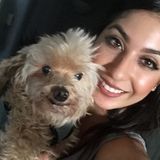 Dog Walking Offered in Fresno