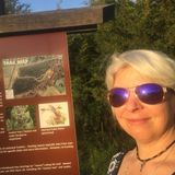 Excellent House Sitter, pet sitter and chef for prepared meals