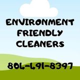 Petersburg Cleaner Searching for Work