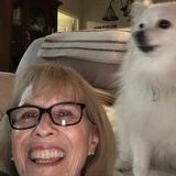 Forney Housesitter Available For Job Opportunities