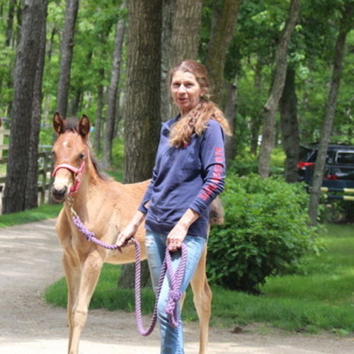 Pet Care Provider Kathleen B's Profile Picture