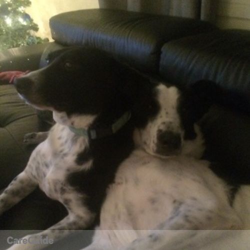 Pet Care Provider Tatiana G's Profile Picture