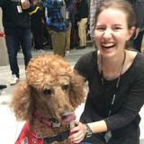 Greenwich Pet Sitter Interviewing For Work in Fayetteville