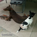Quality, Professional care for your pets, includes Dog walking, medication administering, bathing etc.