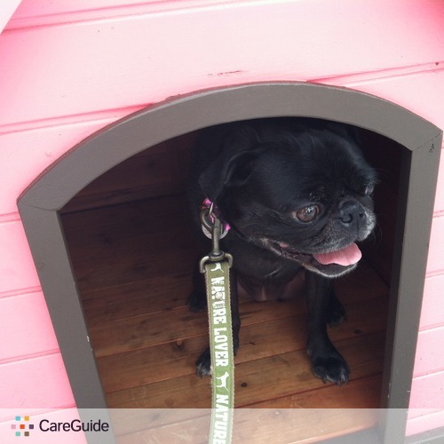 Pet Care Provider Rachel S's Profile Picture