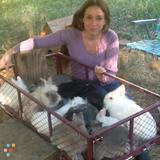 Fantastic Nanny Available! Safe, Fun & Reliable