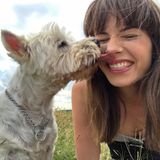 Dog walker. Pet sitter. Pet Care Provider. Toronto, Ontario