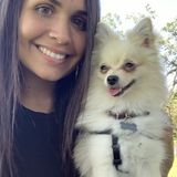 Tamarac, Florida Dog Sitting Professional