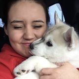 Experienced and loving pet sitter