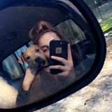 Dedicated Pet Supervisor for Your Home