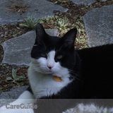 Enthusiastic, reliable, and caring pet lover available to care for your furr-babies