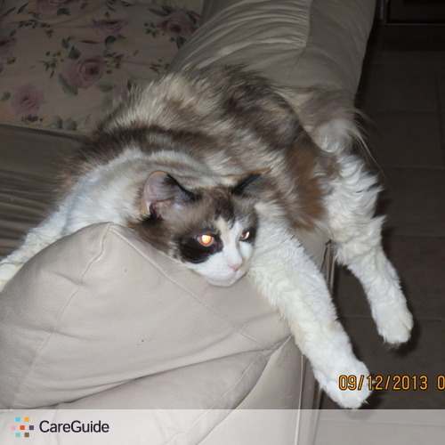 Pet Care Provider Jacquie W's Profile Picture
