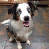 Vacation Petsitter May 8-16