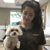 Flexible Petsitter for Hire