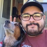 Available: Qualified House and Plant Sitter in Waterford, Michigan