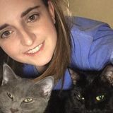 Qualified Dog Walking Available Now! Also I love cats.