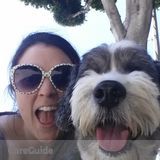 Brilliant Pet Sitter
