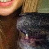 For Hire: Consistent Pet Sitter in Midland