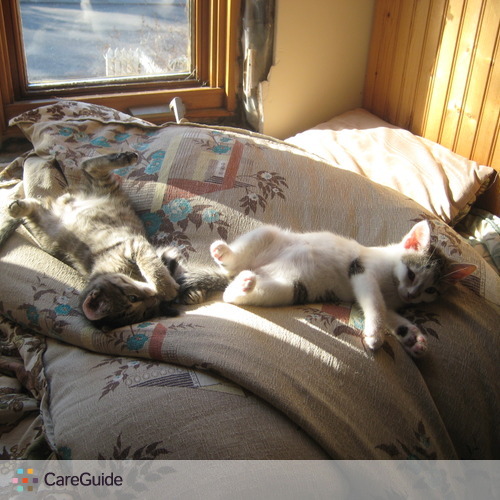 Pet Care Provider Robyn Batsch's Profile Picture