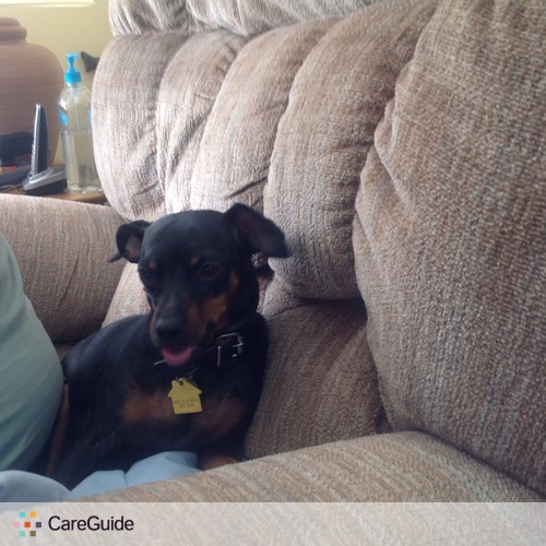 Pet Care Job Tim H's Profile Picture