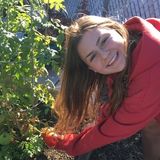 Reliable Pet Sitter Extraordinaire in St. Petersburg, Fl