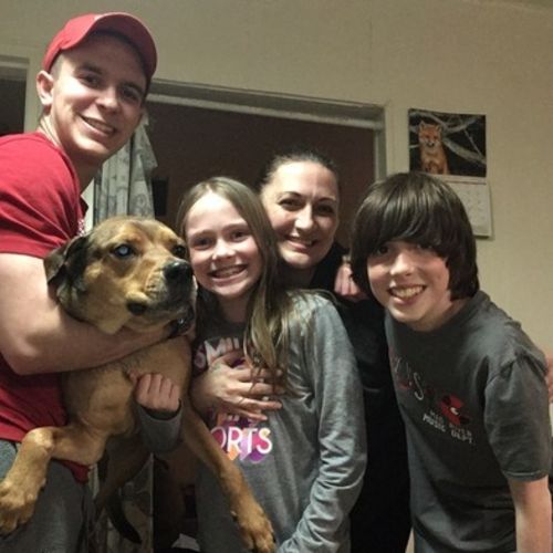 exotic pet sitters near me