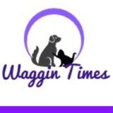 Waggin Times - Pet Care Services in CSRA