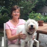 Gatineau House and Pet Sitter Looking For Job Opportunities in Quebec