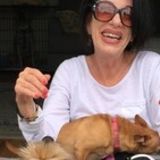 Skillful Pet Sitter in Sunrise