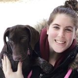 Caring, treat your pets like my own, dog walker.