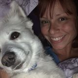 Valrico Pet Sitting Professional Seeking Being Hired