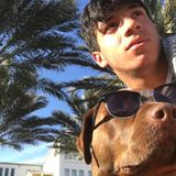 Dunwoody Pet Service Provider Interested In Being Hired in Georgia