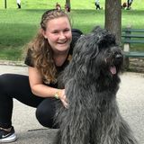 Experienced Home and Pet Sitter