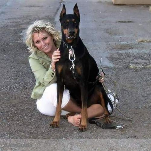 Pet Care Provider Julie P's Profile Picture