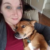 Compassionate and experienced pet sitter.