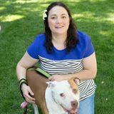 Well Trained Petsitter, Walker, Trainer, Play Buddy and all around dog-lover Available Immediately