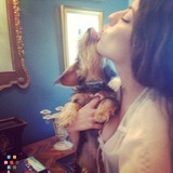 Trustworthy pet sitter and home sitter