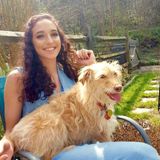 Interviewing For Hendersonville/Asheville Pet Sitting/Walking Professional Jobs