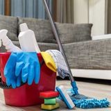 Professional Cleaner Available Immediately
